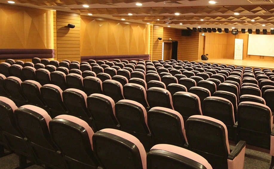 Cinema Hall Seats